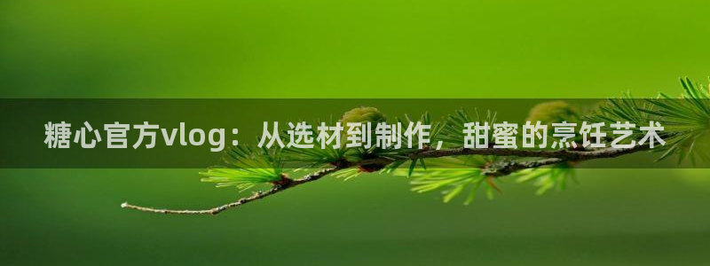 国产糖心vlog下载：糖心官方vlog：从选材到制作，甜蜜的烹饪艺术