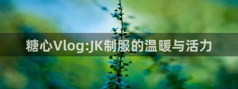 糖心vlog会员充值：糖心Vlog:JK