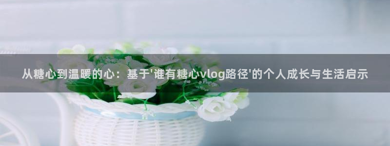 糖心vlog广告：从糖心到温暖的心：基于