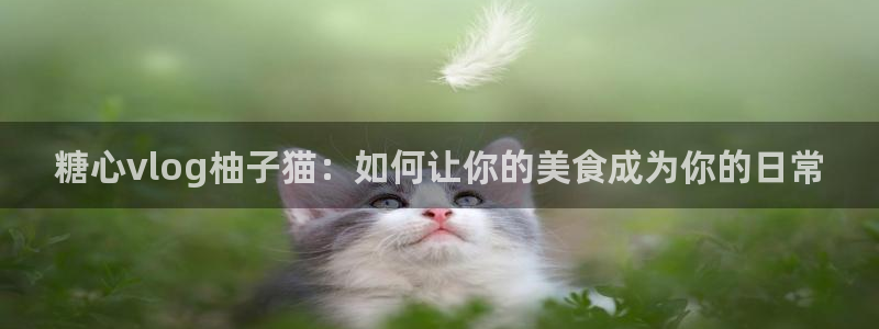 原神cos糖心vlog：糖心vlog柚子猫：如何让你的美食成为你的日常
