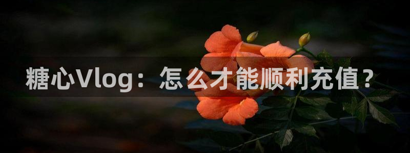 糖心vlog nicolove：糖心Vl