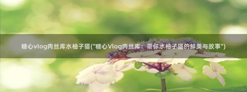 糖心vlog金