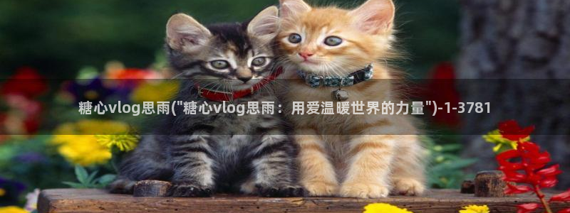 糖心美少女vlog:糖心vlog思雨(\