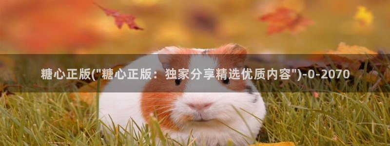 糖心vlog排行榜：糖心正版(\