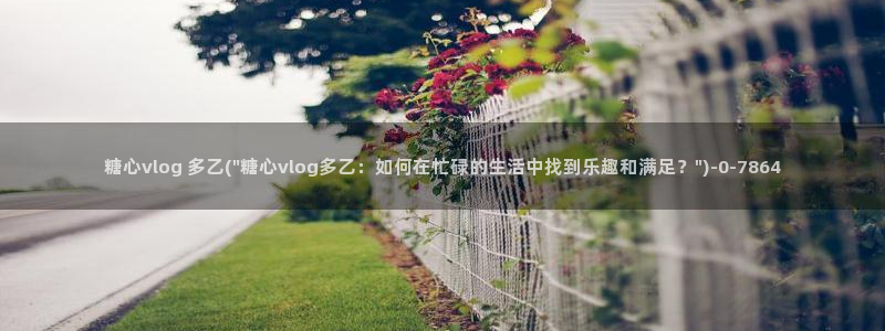 糖心vlog小二：糖心vlog 多乙(\