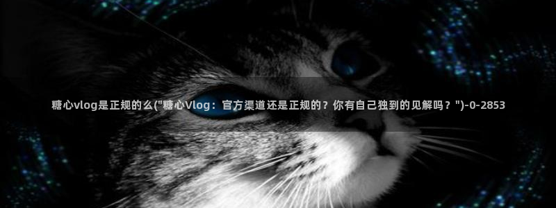 免费糖心vlog：糖心vlog是正规的么(\