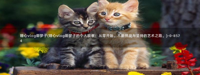 糖心vlog在线观看ios：糖心vlog御梦子(糖心vlog御梦子的个人故事：从零开始、不断挑战与坚持的艺术之路。)