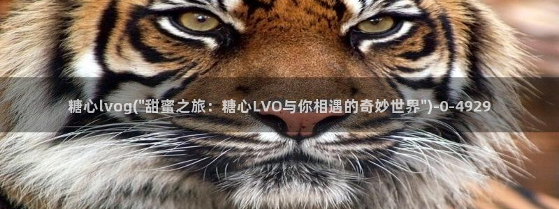 糖心vlog网页版：糖心lvog(\