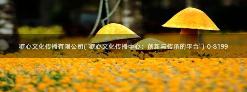 糖心vlog金善雅：糖心文化传播有限公司(\